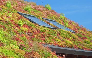 Coylton living roof systems
